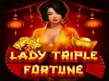 Vasy Casino screenshot